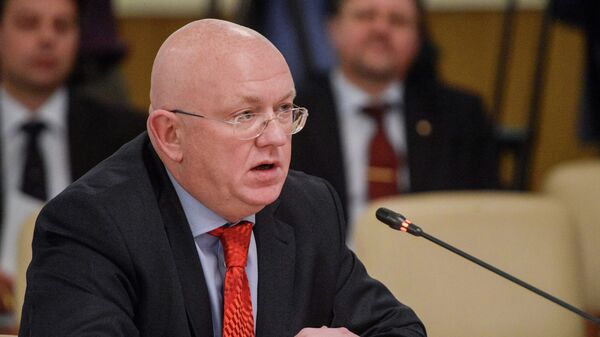 #Заместитель министра иностранных дел РФ Василий Небензя 