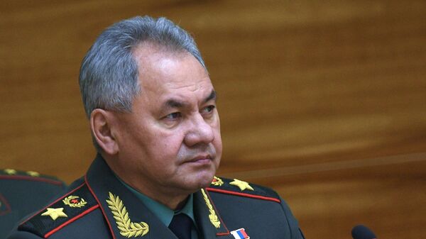 Министр обороны РФ Сергей Шойгу